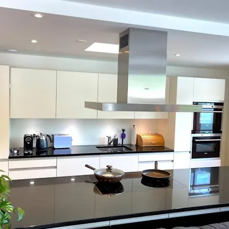 Penthouse Alps Scenic Views And Concierge By Swisshut 度假居