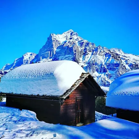 Σπίτι διακοπών Swisshut Penthouse 10min West Station - Apart. Blume 2