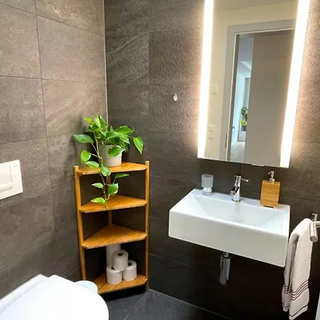 Σπίτι διακοπών Swisshut Penthouse 10min West Station - Apart. Blume 2