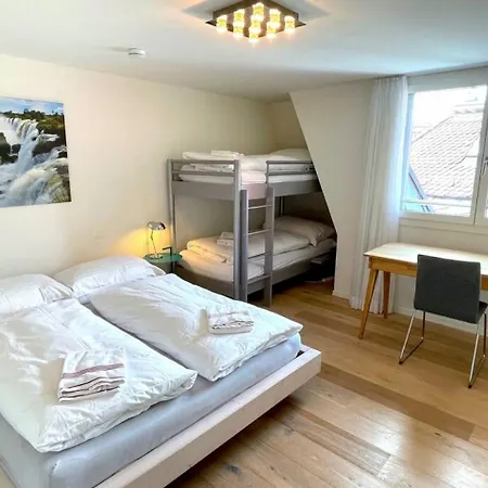 Σπίτι διακοπών Swisshut Penthouse 10min West Station - Apart. Blume 2 *